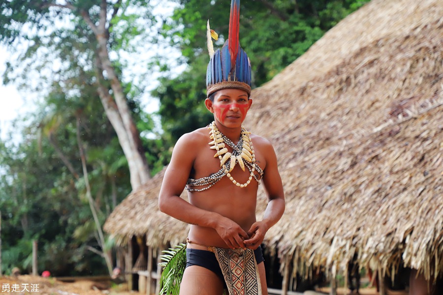 亚马逊探访土著部落钓巨骨舌鱼看粉色河豚