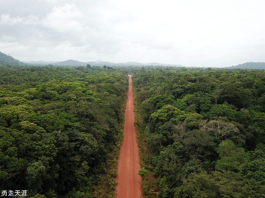 圭亚那原始森林