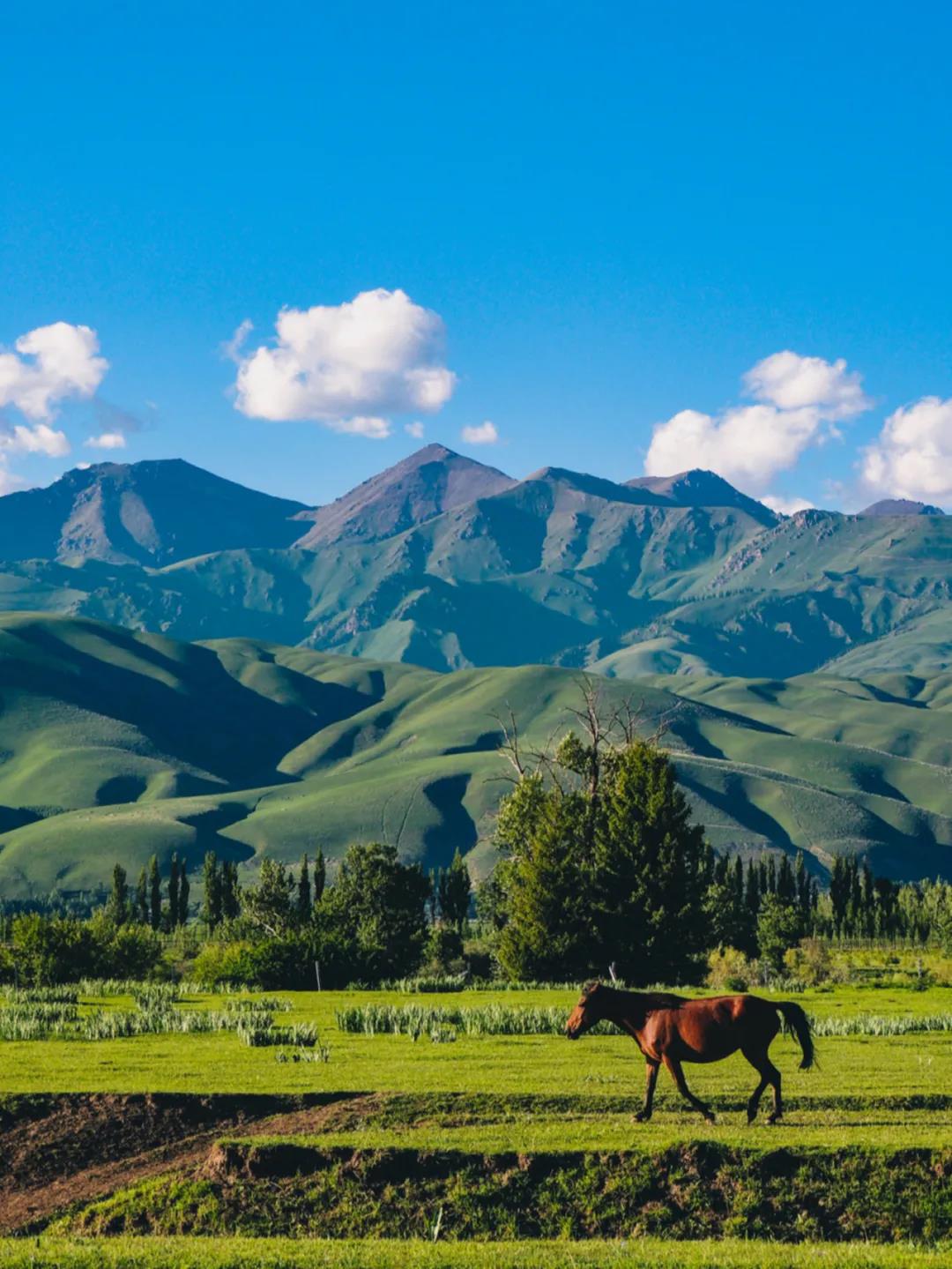 环游新疆全景29天自驾：丝绸之路南疆，北疆，大西北大环线全景自驾