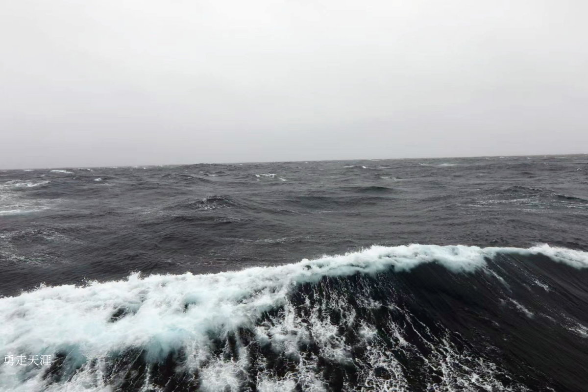 穿越德雷克风暴带，我的南极奔赴之旅正式开启