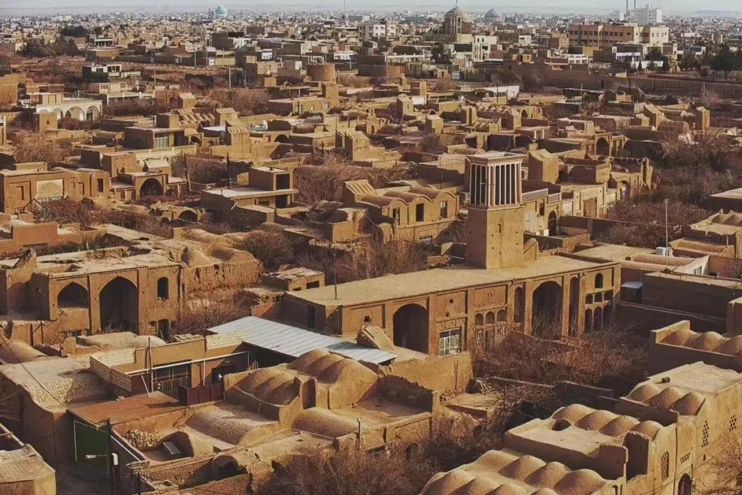 1686988357556486.jpg 640 (5).jpg