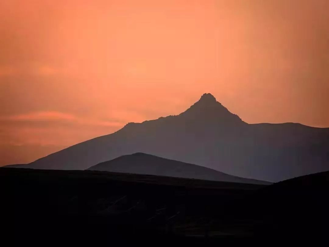 1686988611188221.jpg 640 (18).jpg