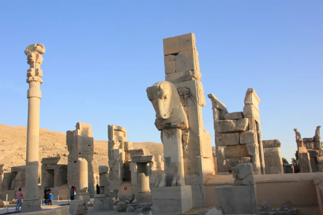 1686989370341285.jpg 640 (60).jpg