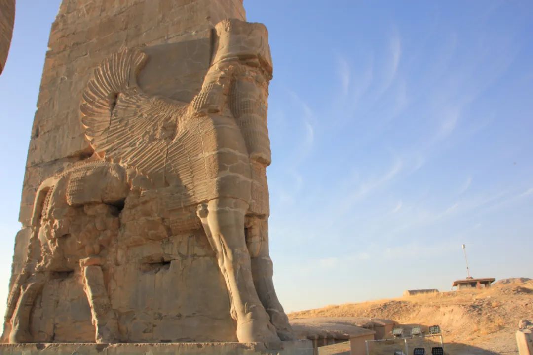 1686989386476706.jpg 640 (61).jpg