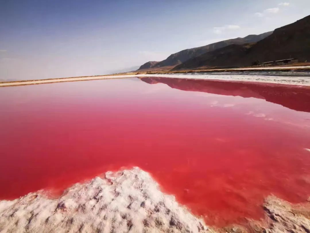 1686989827749355.jpg 640 (78).jpg